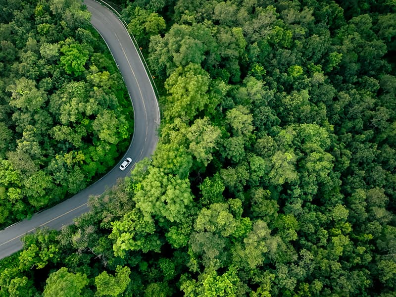 Carbon Market Growth