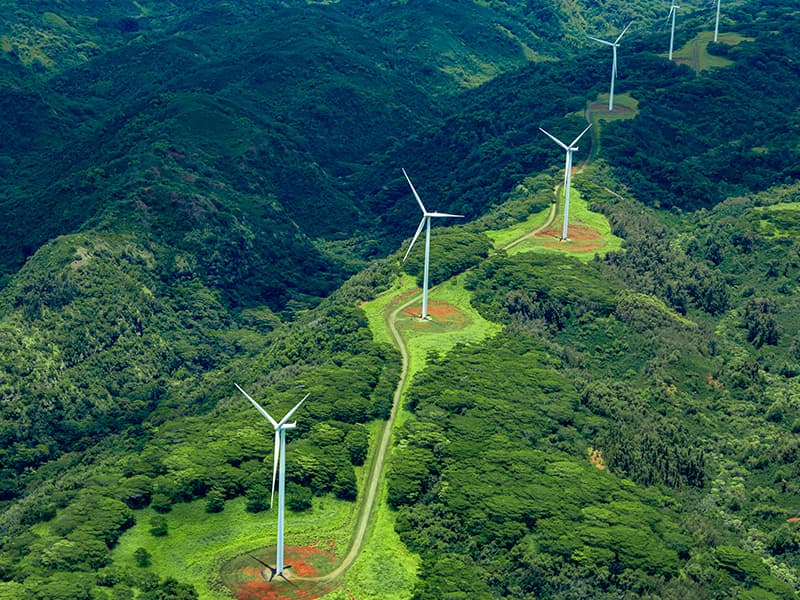 Sustainability Initiative 1